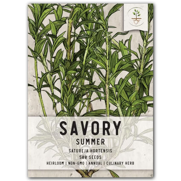 Summer Savory Herb Seeds For Planting (Satureja hortensis)