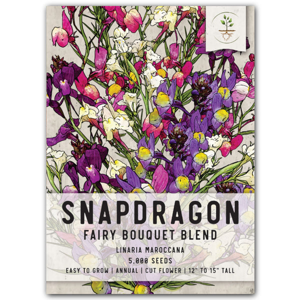Spurred Snapdragon Seeds For Planting "Dwarf / Fairy Bouquet" (Linaria maroccana)