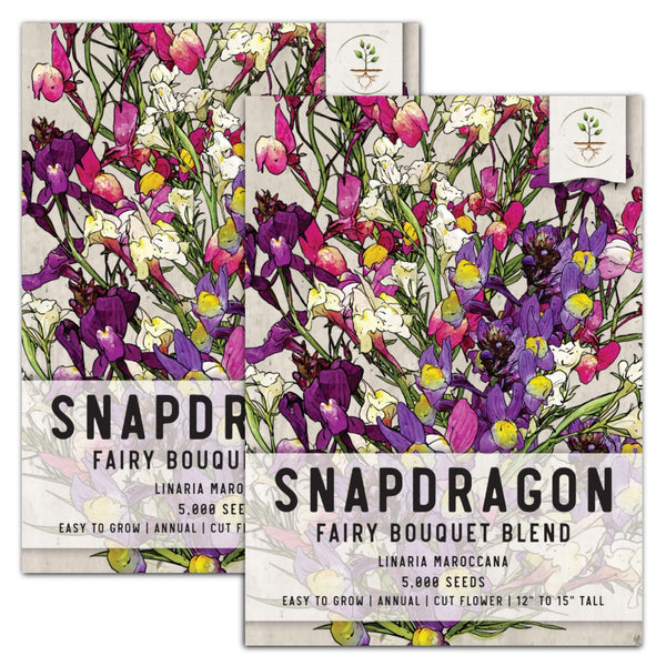 Spurred Snapdragon Seeds For Planting "Dwarf / Fairy Bouquet" (Linaria maroccana)