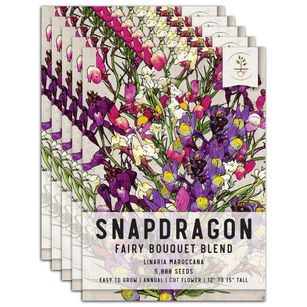 Spurred Snapdragon Seeds For Planting "Dwarf / Fairy Bouquet" (Linaria maroccana)