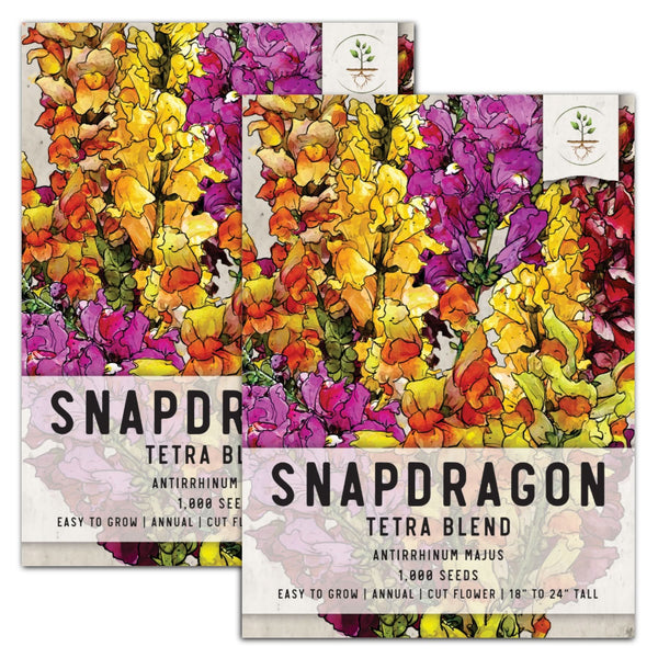 Snapdragon Seeds For Planting Tetra Blend (Antirrhinum majus)