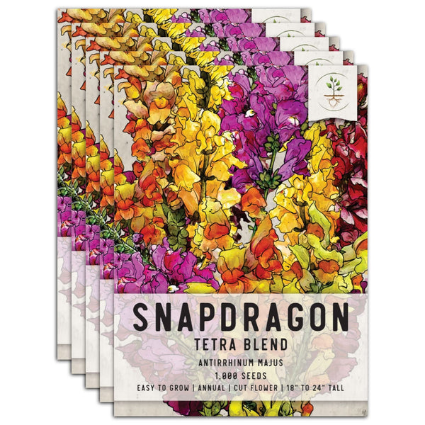Snapdragon Seeds For Planting Tetra Blend (Antirrhinum majus)
