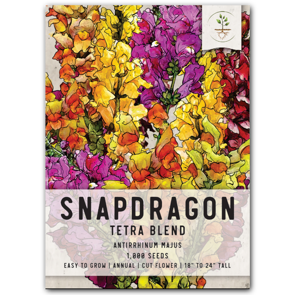 Snapdragon Seeds For Planting Tetra Blend (Antirrhinum majus)