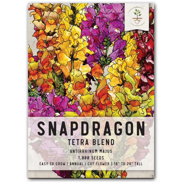 Snapdragon Seeds For Planting Tetra Blend (Antirrhinum majus)