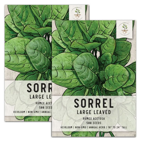 sorrel herb seeds for planting