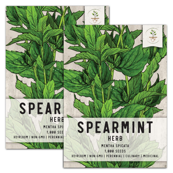Spearmint Herb Seeds For Planting (Mentha spicata)