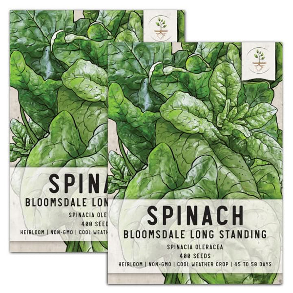 Bloomsdale Long Standing Spinach Seeds For Planting (Spinacia oleracea)
