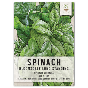bloomsdale long standing spinach seeds for planting