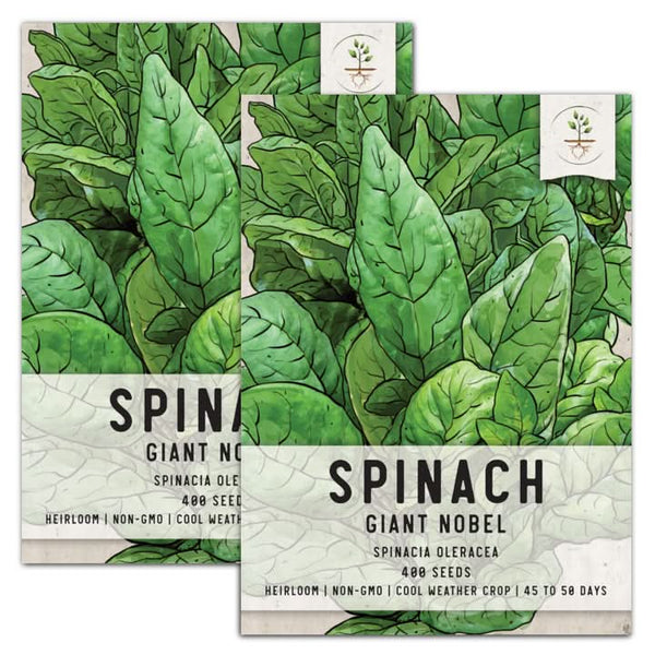 Giant Noble Spinach Seeds For Planting (Spinacia oleracea)