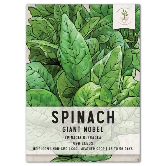 giant noble spinach seeds for planting