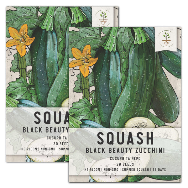 Black Beauty Zucchini, Summer Squash Seeds For Planting (Cucurbita pepo)