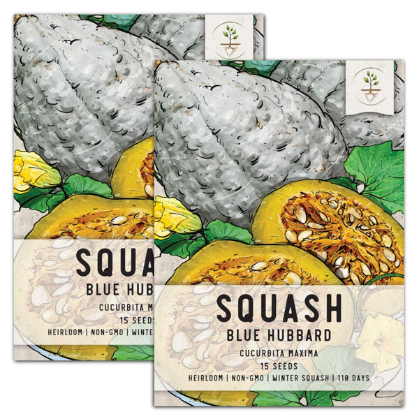 Blue Hubbard Winter Squash Seeds For Planting (Cucurbita maxima)