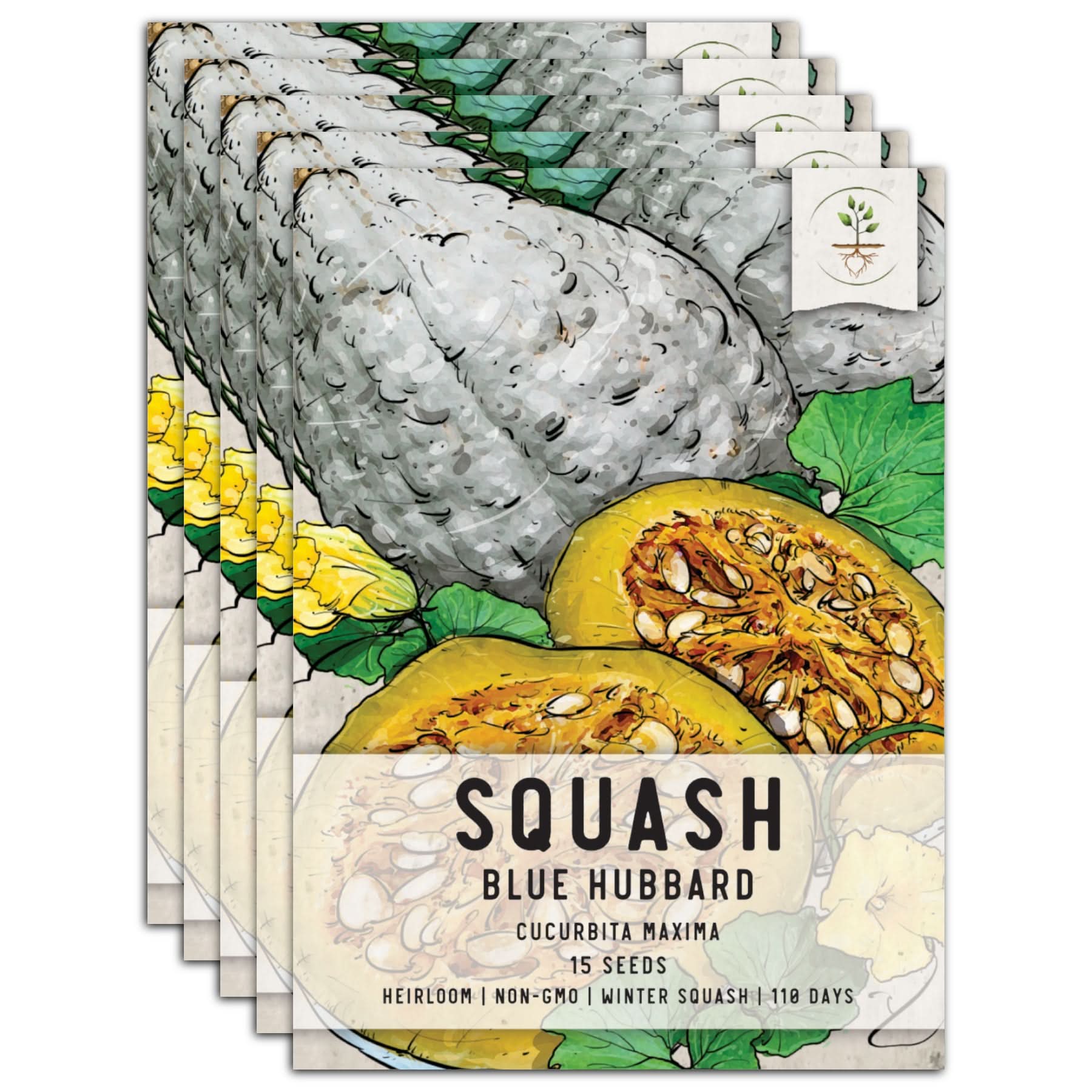 Seed Needs Blue Hubbard Winter Squash Seeds - Thumbnail 3
