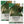 Green Hubbard Winter Squash Seeds For Planting (Cucurbita maxima)