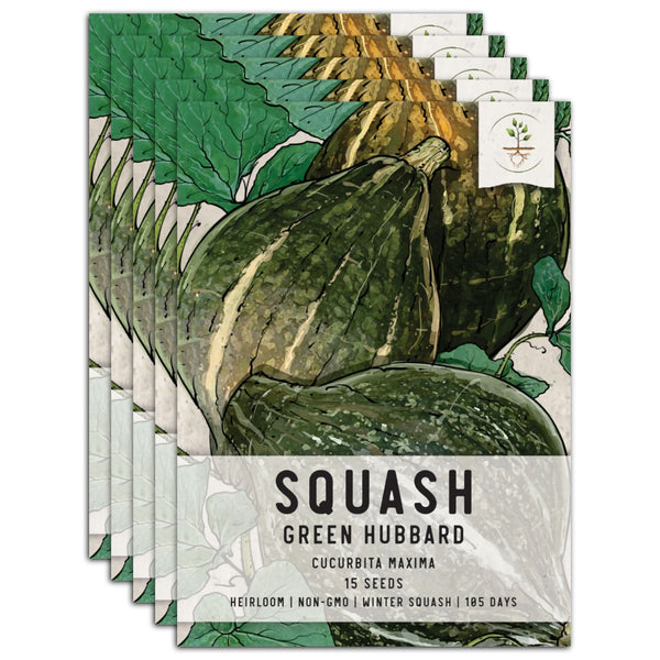 Green Hubbard Winter Squash Seeds For Planting (Cucurbita maxima)