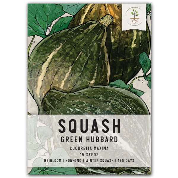 Green Hubbard Winter Squash Seeds For Planting (Cucurbita maxima)