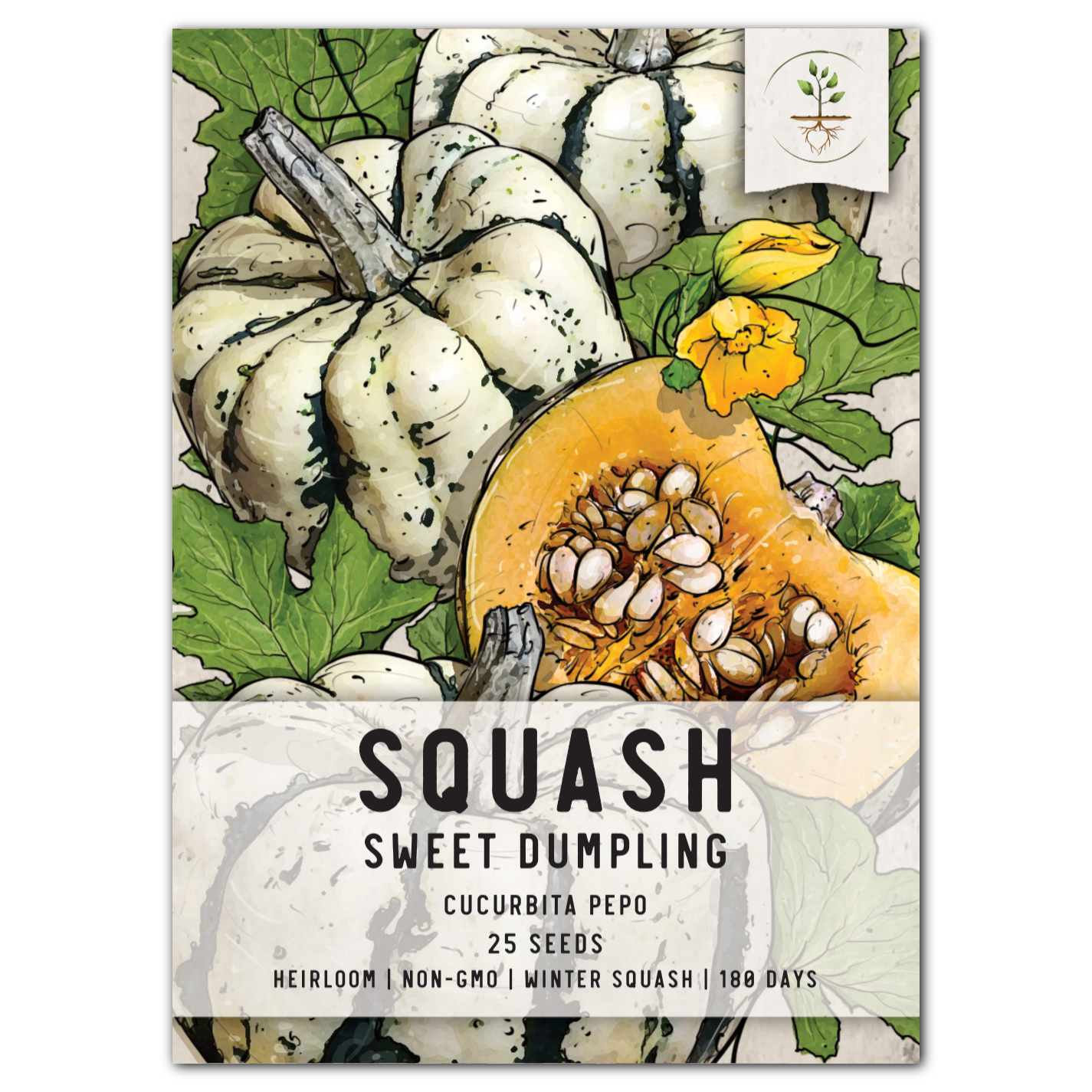 Sweet Dumpling Winter Squash Seeds For Planting (Cucurbita pepo)
