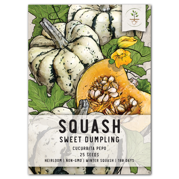 Sweet Dumpling Winter Squash Seeds For Planting (Cucurbita pepo)