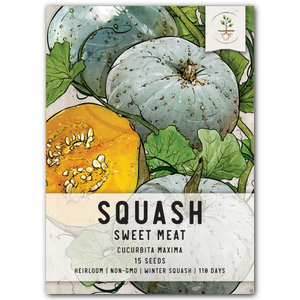 Sweet Meat Winter Squash Seeds For Planting