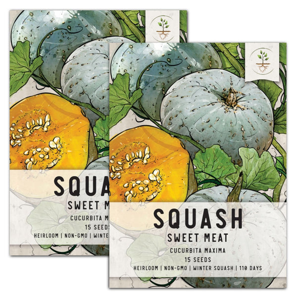 Sweet Meat Winter Squash Seeds For Planting (Cucurbita maxima)