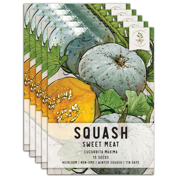 Sweet Meat Winter Squash Seeds For Planting (Cucurbita maxima)