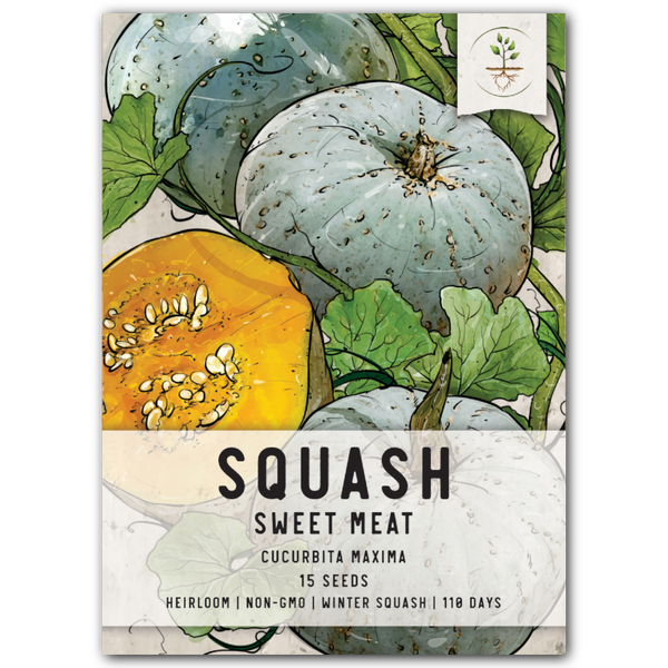 Sweet Meat Winter Squash Seeds For Planting (Cucurbita maxima)
