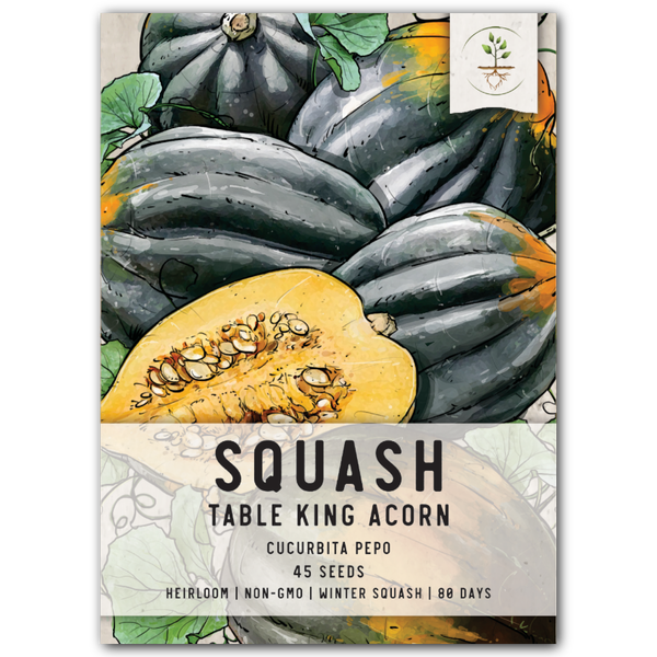 table king acorn squash seeds for planting