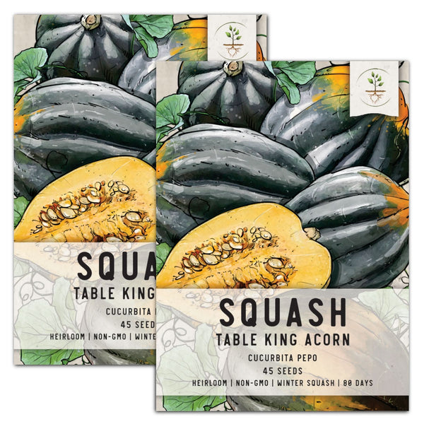 planting acorn squash seeds Table King Acorn Winter Squash Seeds For Planting