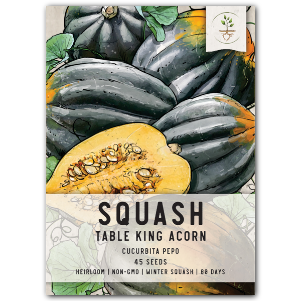 Table King Acorn Winter Squash Seeds For Planting (Cucurbita pepo)
