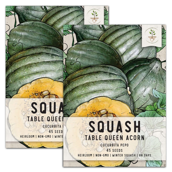 Table Queen Acorn Winter Squash Seeds For Planting (Cucurbita pepo)