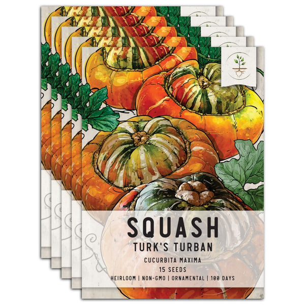Turk's Turban Winter Squash Seeds For Planting (Cucurbita maxima)