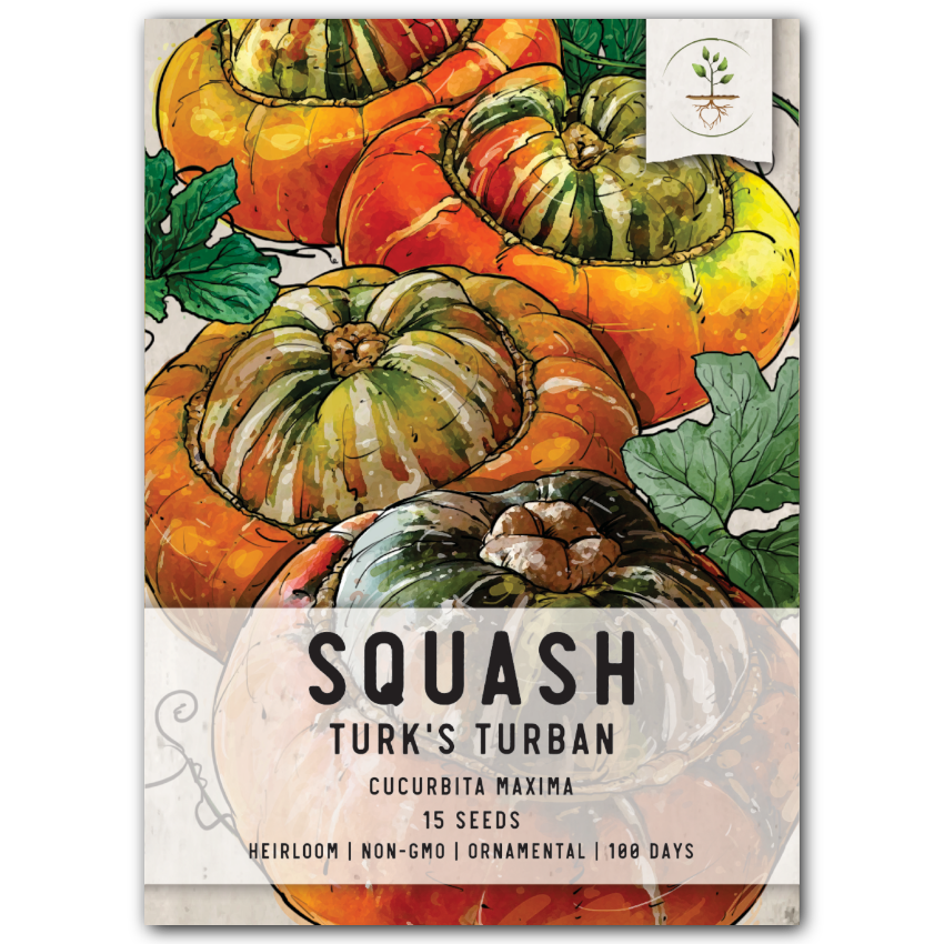 turk's turban squash seeds for planting