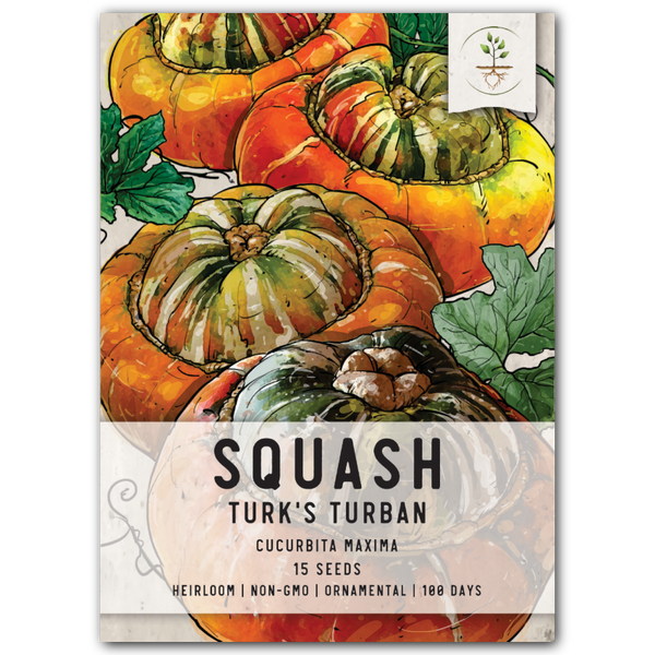 Turk's Turban Winter Squash Seeds For Planting (Cucurbita maxima)