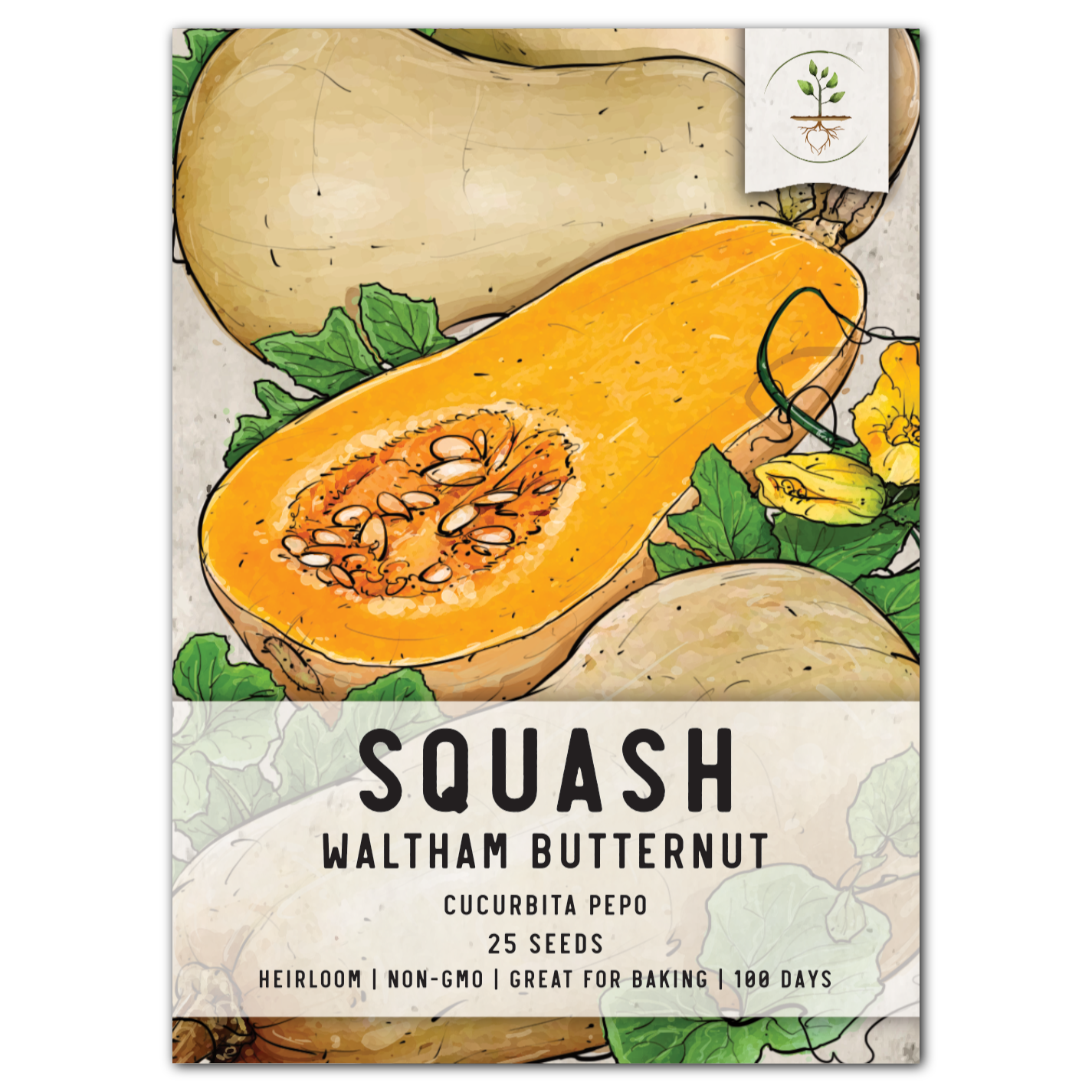 Waltham Butternut Winter Squash Seeds For Planting (Cucurbita pepo)