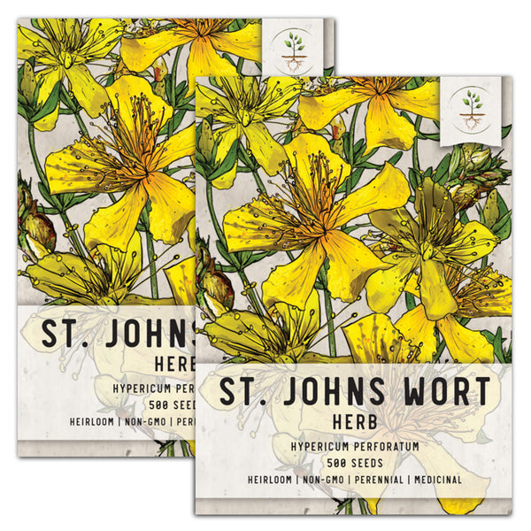 St. Johns Wort Herb Seeds For Planting (Hypericum perforatum)