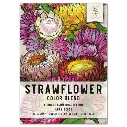 Strawflower Seed Mixture (Helichrysum bracteatum)