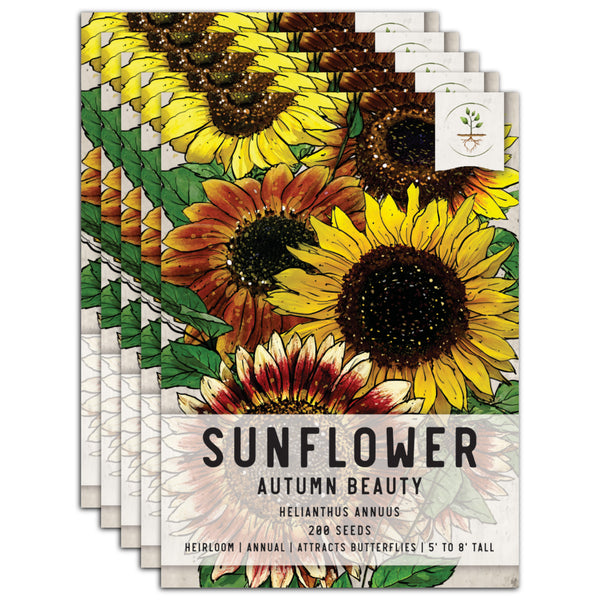 Autumn Beauty Sunflower Seeds For Planting (Helianthus annuus)