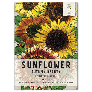 autumn beauty sunflower seeds for planting
