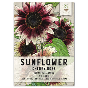 cherry rose sunflower seeds for planting