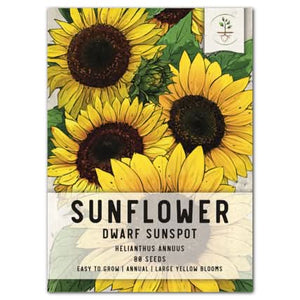 dwarf sunspot sunflower seeds for planting