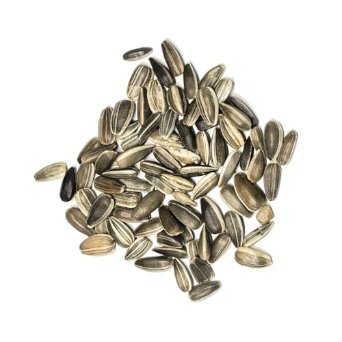 dwarf sunspot sunflower seeds