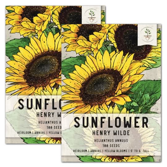 henry wilde sunflower seeds for planting