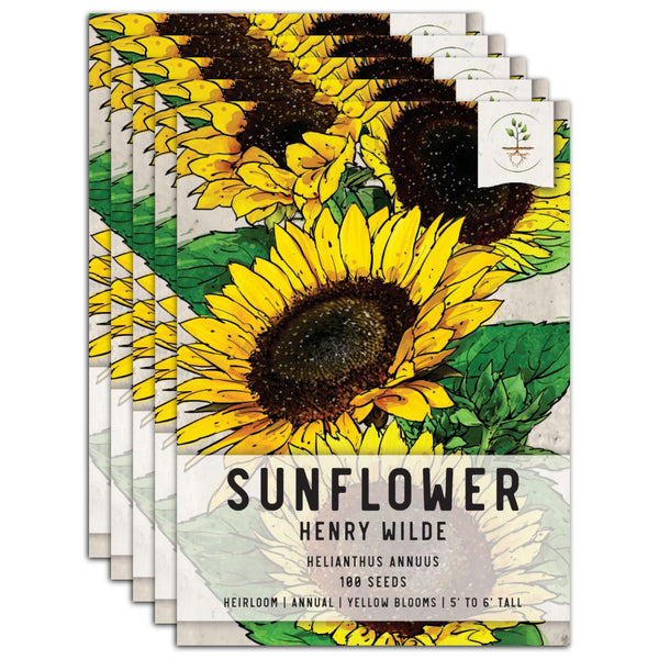 Henry Wilde Sunflower Seeds For Planting (Helianthus annuus)