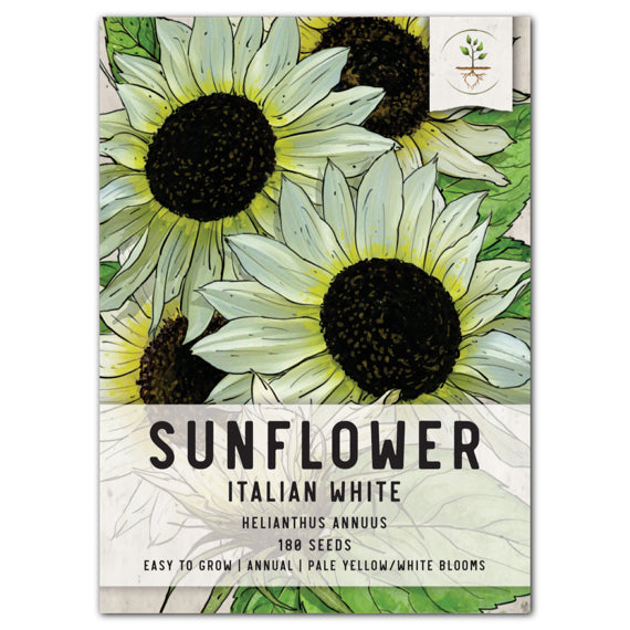 italian white sunflower seeds for planting