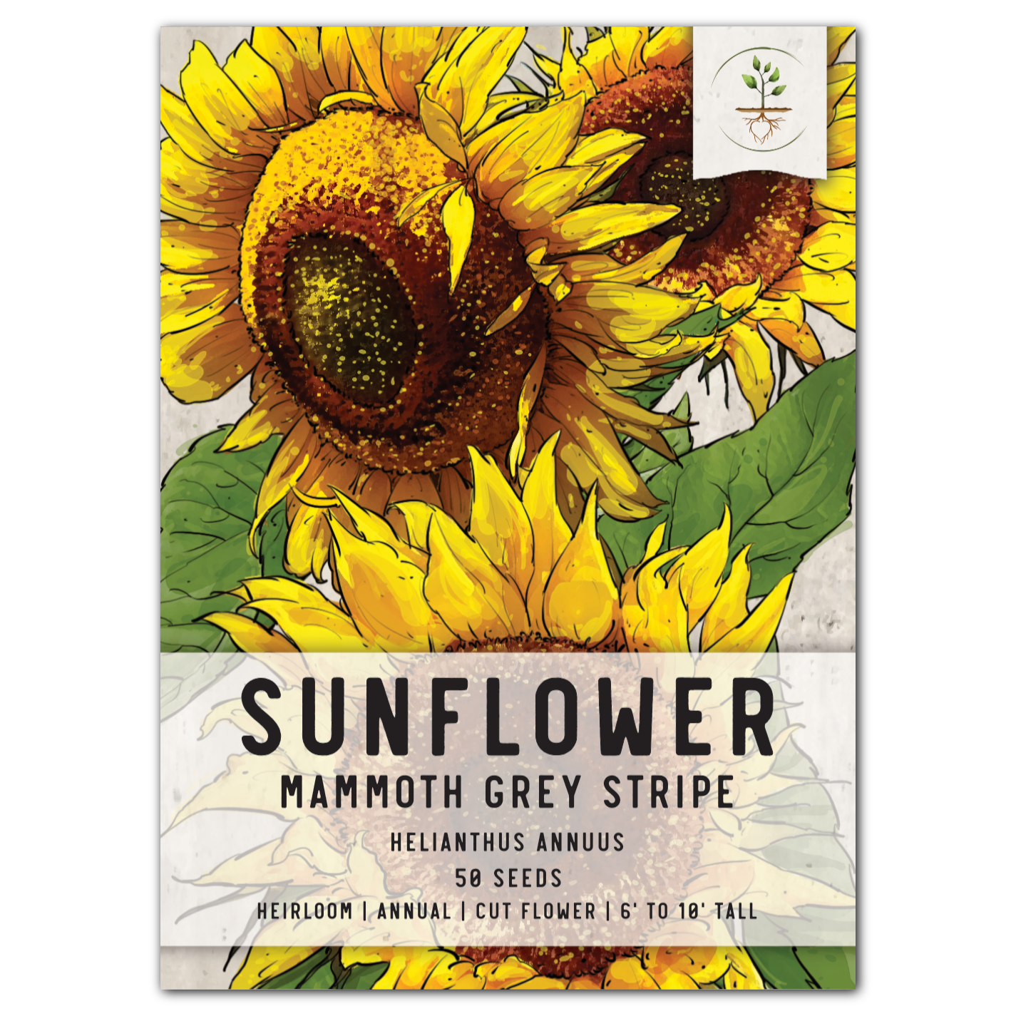 mammoth grey striped sunflower seeds for planting