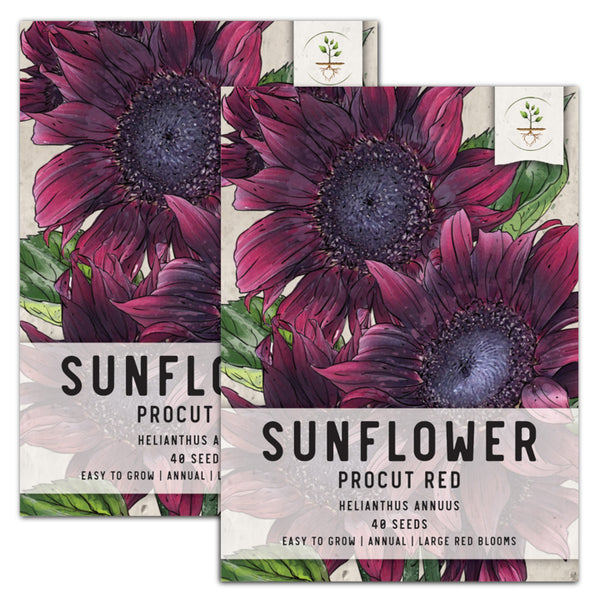 procut red sunflower seeds for planting