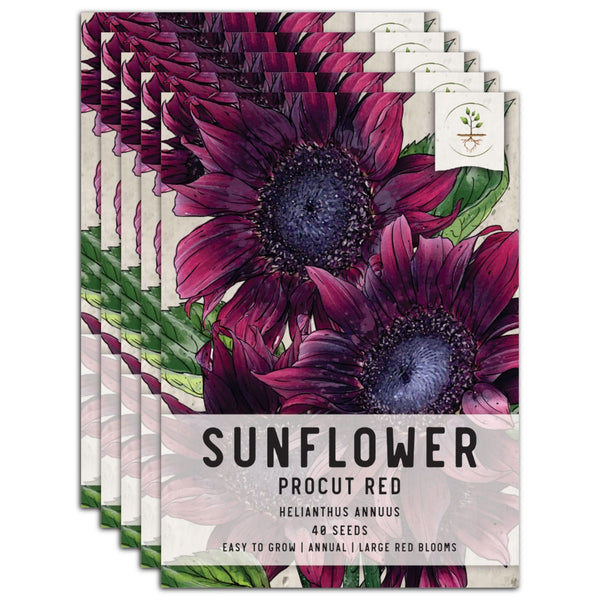 Procut Red Sunflower Seeds For Planting (Helianthus annuus)