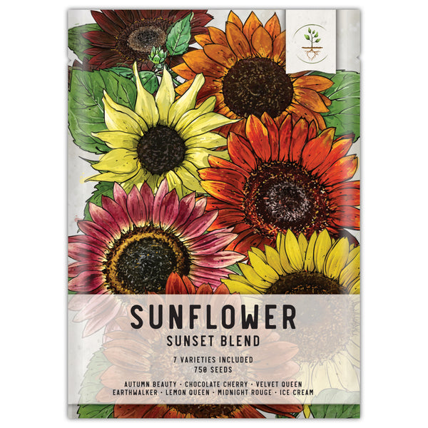 Sunset Blend Sunflower Seeds For Planting (Helianthus annuus) 7 Varieties