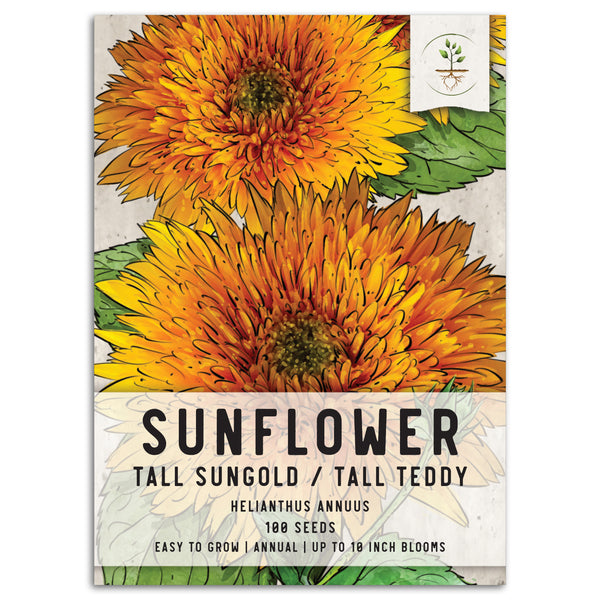 Tall Sungold Sunflower Seeds For Planting (Helianthus annuus)