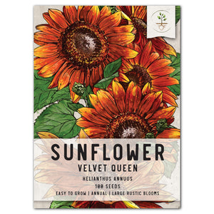 velvet queen sunflower seeds for planting